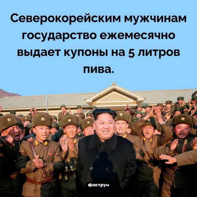 Северная Корея готовится обеспечить россиянам отдых на море круглый год