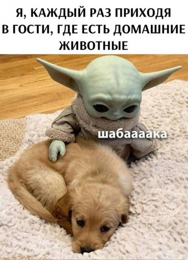 Прикольные и просто красивые картинки 16.08.2024