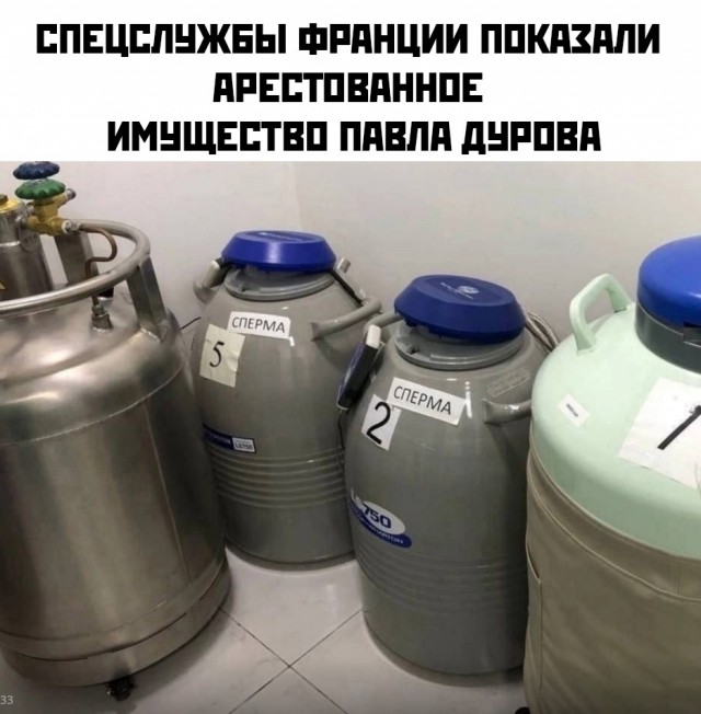 Весёлый полтишок 29.08.24