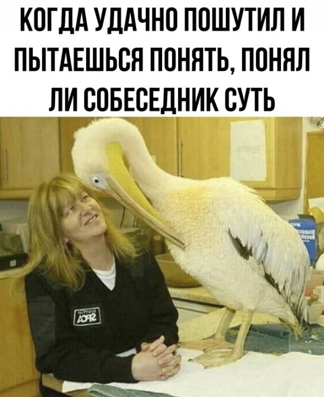 Веселые картинки в последний рабочий день уходящего года (28.12)