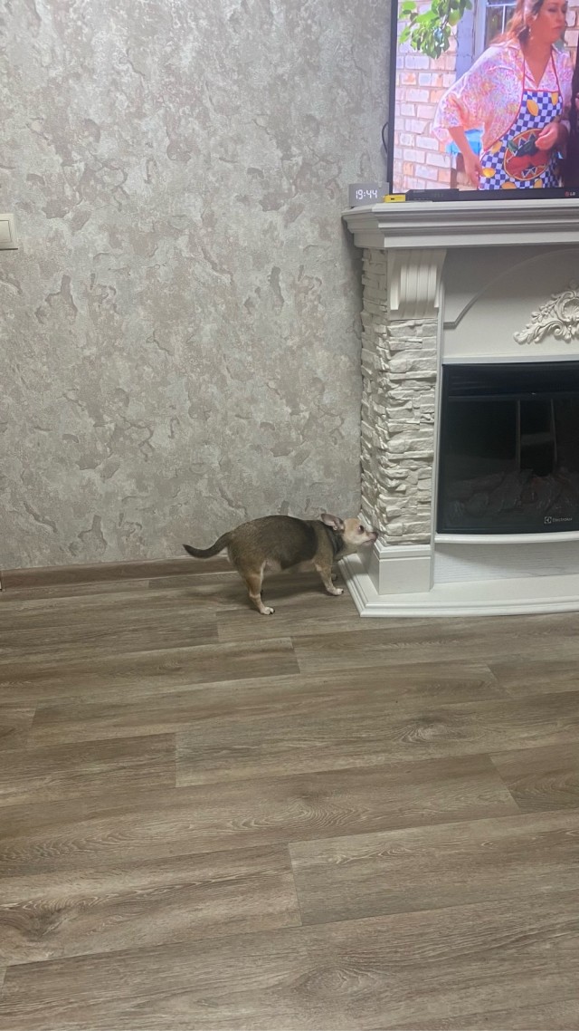 Ну а что? Мне понравилось...