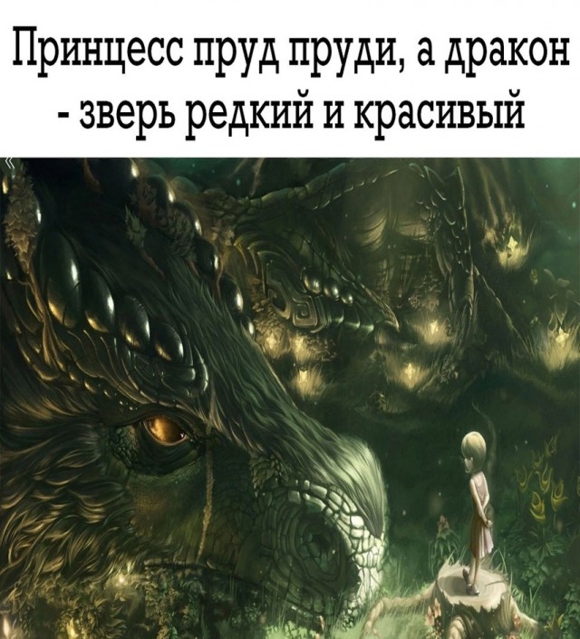 Так себе картинки 13.02.25