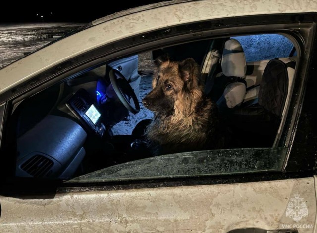 Не хотела бросить любимый автомобиль.