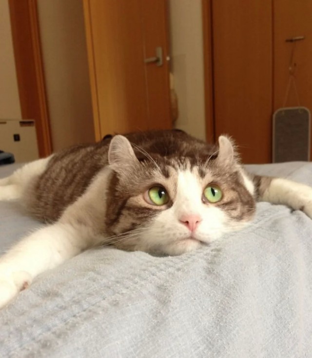 Какое небо голубое