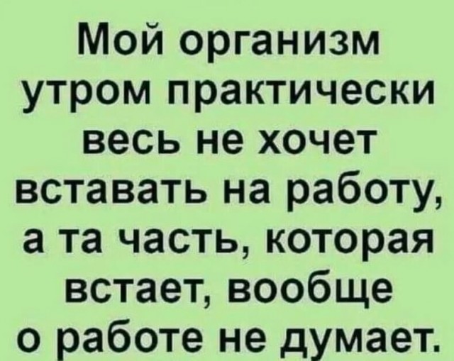 Так себе картинки 17.05.25