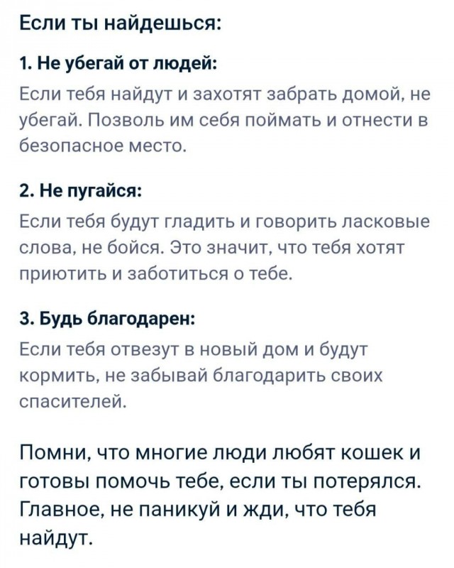 Самый полезный совет от ИИ на сегодня