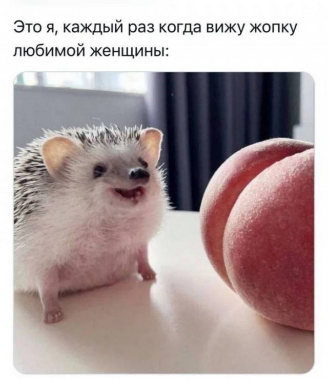 Веселые картинки в пятницу (17.10)