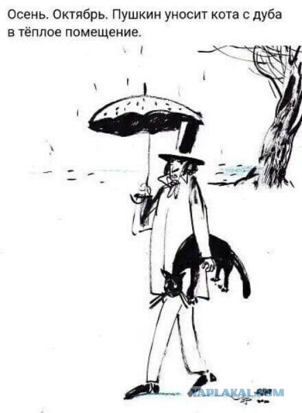 Осень наступила