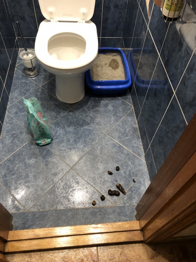Зеленый