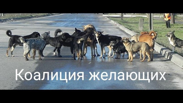 В Киеве слили воду из систем отопления значительной части домов