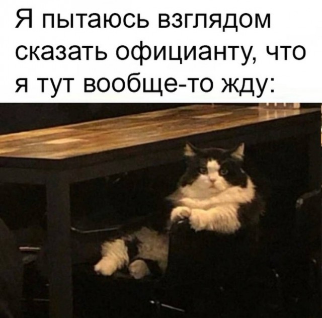 Среды картинки