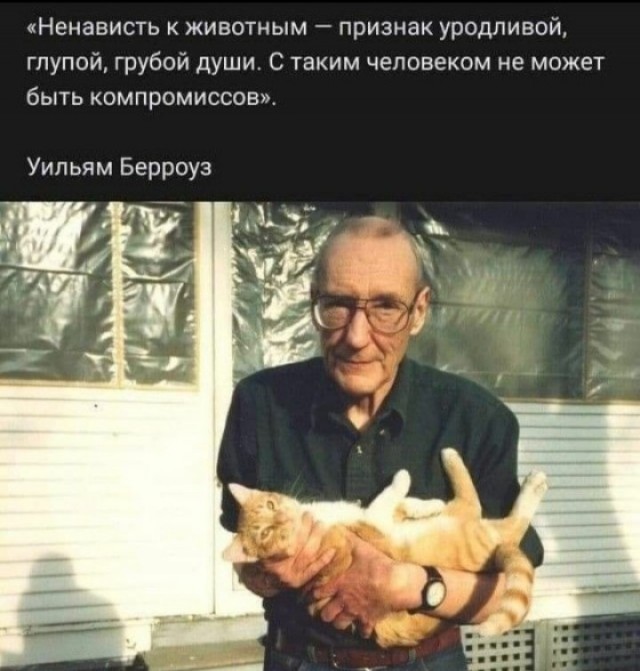 Куча мала 15, последняя