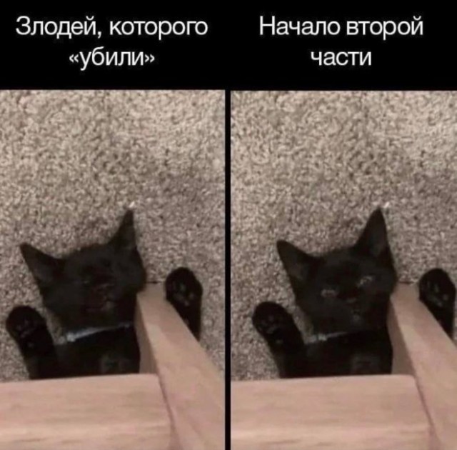 Веселые картинки в понедельник (16.03)