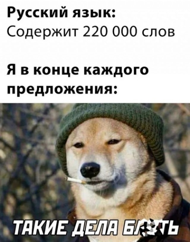 Картинки для деградации 194 (разной степени свежести)