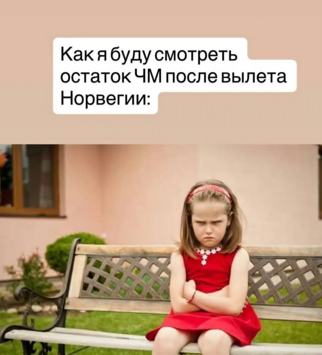 Эрлинг Холанд остался на стадионе после вылета с ЧМ, чтобы сфотографироваться с каждым болельщиком