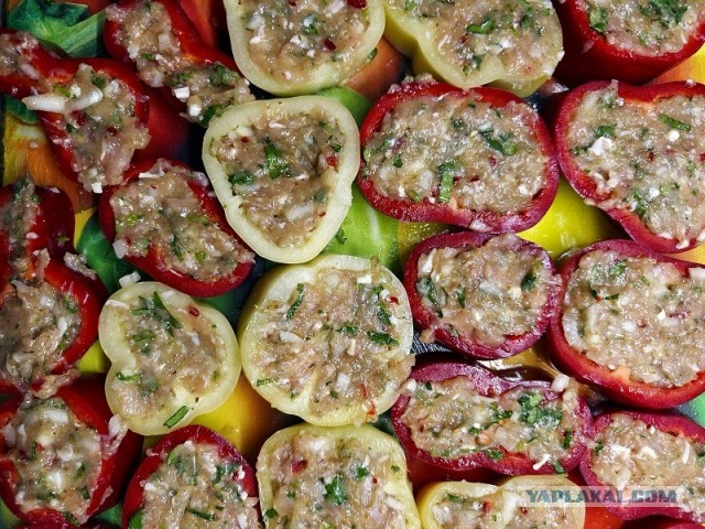 Просто вкусные кружочки