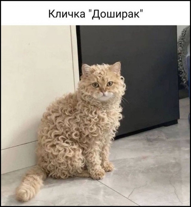 Так себе картинки 10.09.26
