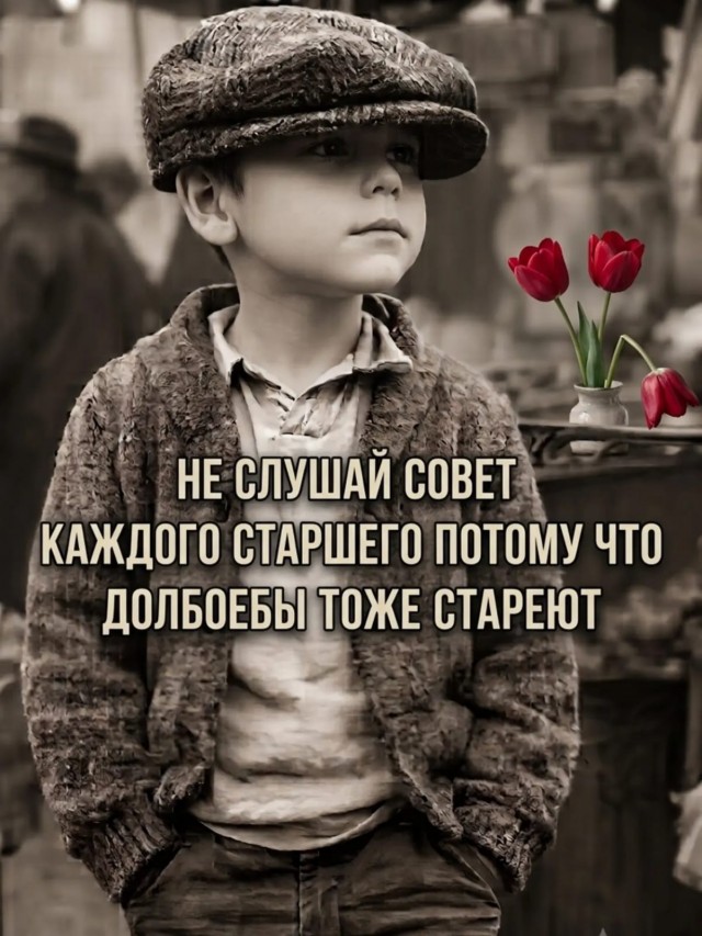 Картинки для деградации 296 (разной степени свежести)