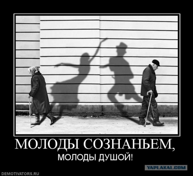 Личный сборник демотиваторов [~25]