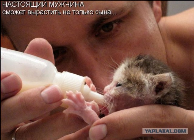 До и после - три дня разницы