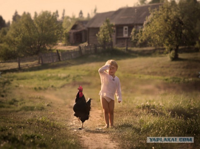 Лето в деревне