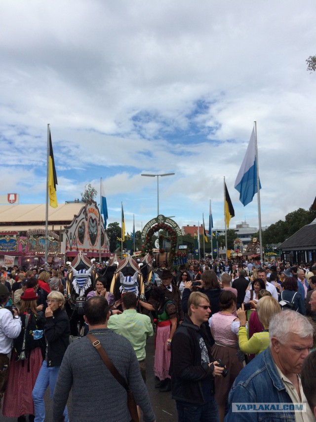 Репортаж  с крупнейше вечеринки — Октоберфеста