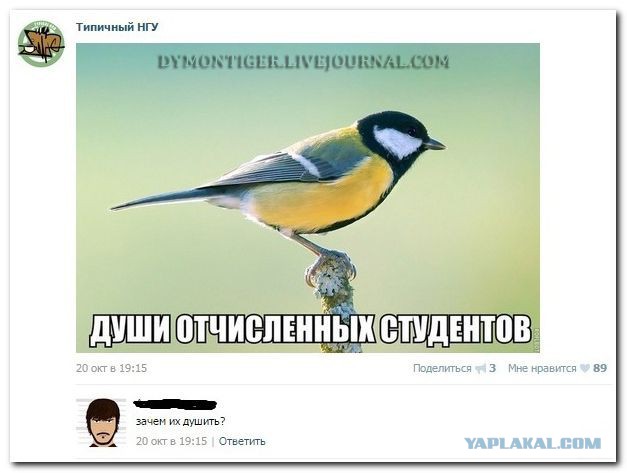 "Комментарии из соц.сетей"