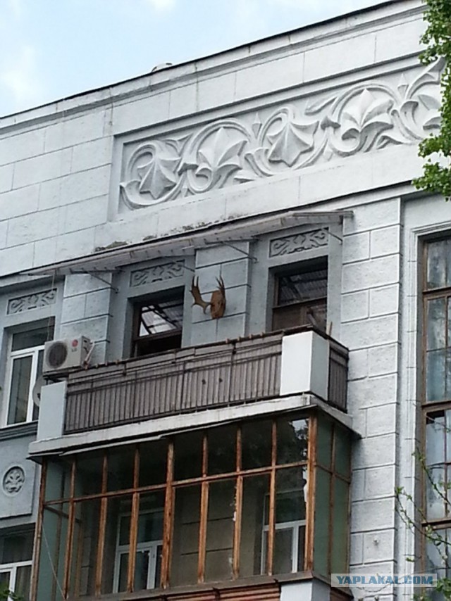 Поездка в Зону Отчуждения