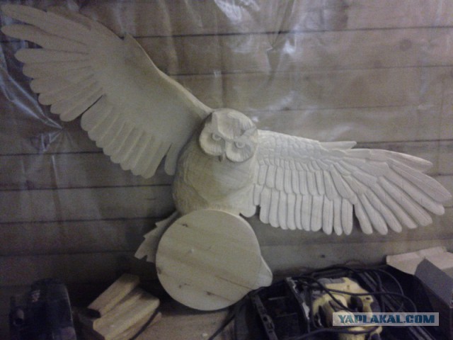 Как нарисовать сову