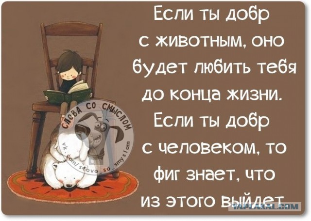 Смешные картинки вредный журнал