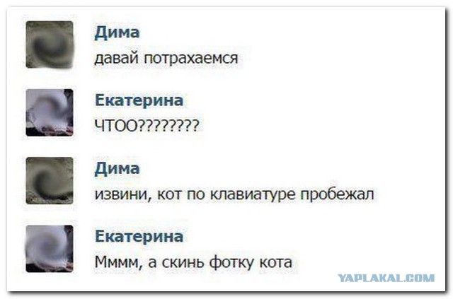 Смешные комментарии из социальных сетей