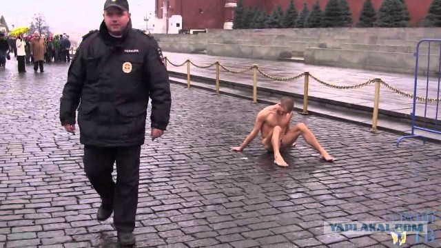 Норвежская художница застряла голой на дереве