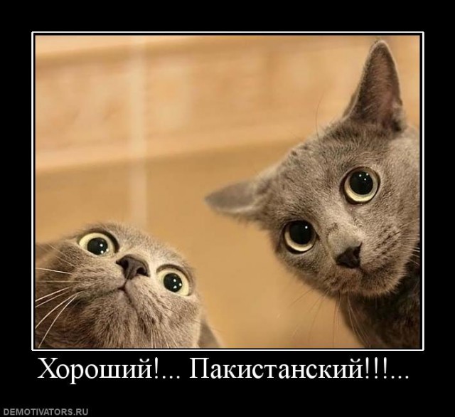 Вы хотите "демов"?