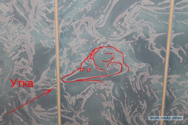 А что вы расматриваете в туалете?