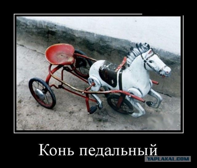 Картинки с просторов на четверг