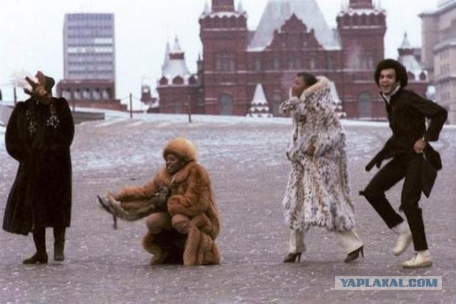 Подборка редких фотографий со всего мира