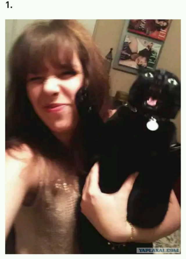 15 котов которые не хотели фотографироваться