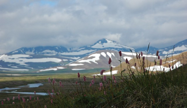 Деревенская Америка