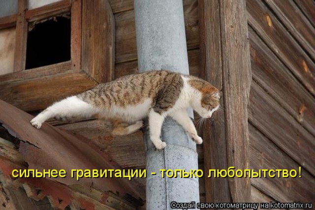 Плюшкиным посвящается