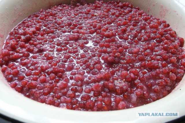 Желе из белой смородины и мармелад из красной