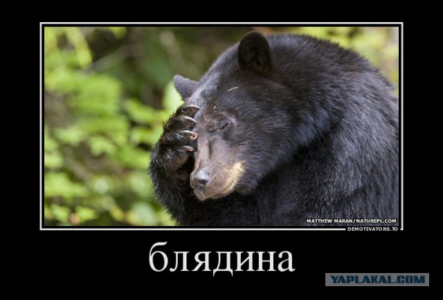 Кто чернее,  тот и папа