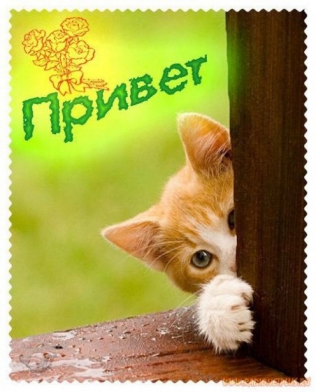 Трудовыебу дни (часть вторая)
