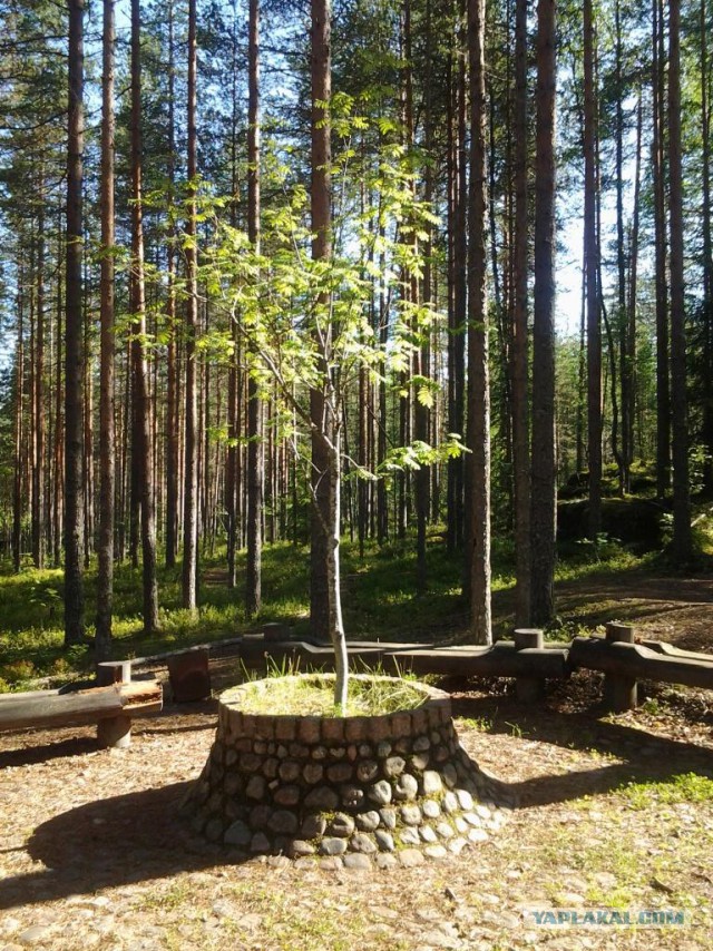 Две недели впечатлений.