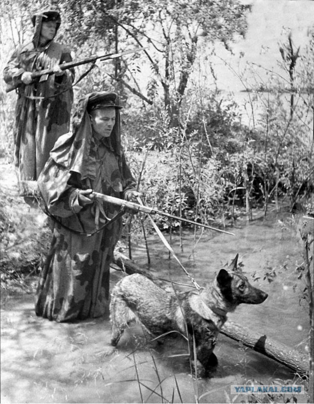 Они тоже сражались за Родину.