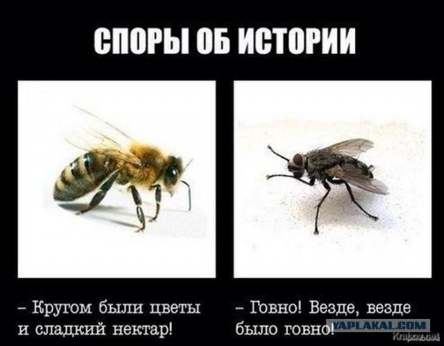 В Москве построили школу будущего