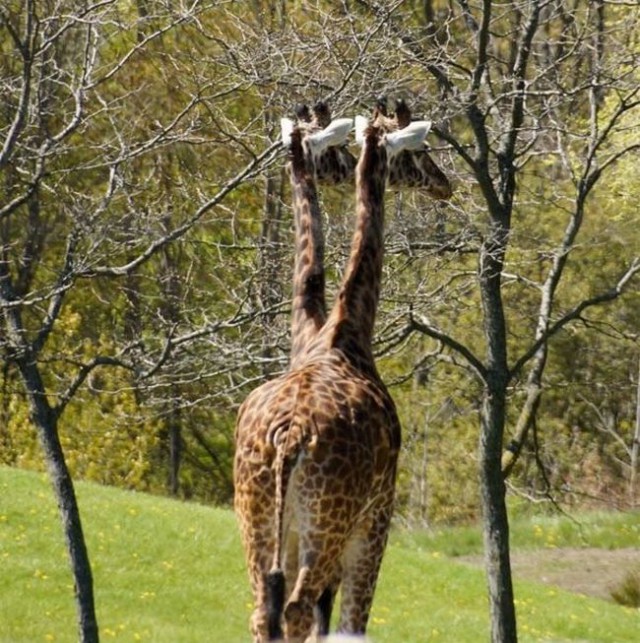 Кажется, эта семья из Китая нашла эликсир молодости
