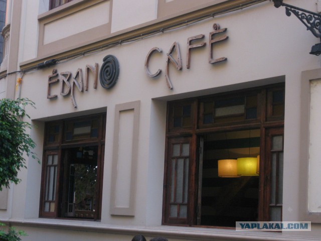 Когда честность превыше всего