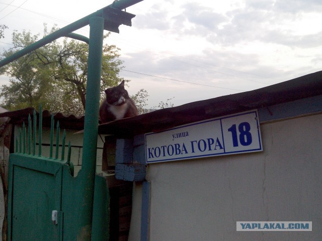 Гей-парады в Белгороде, Курске и Орле.
