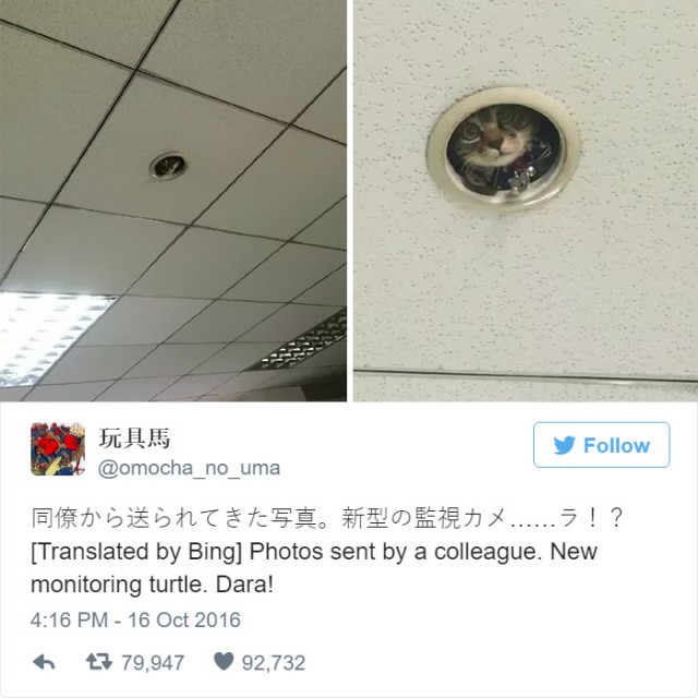 Котопрятки