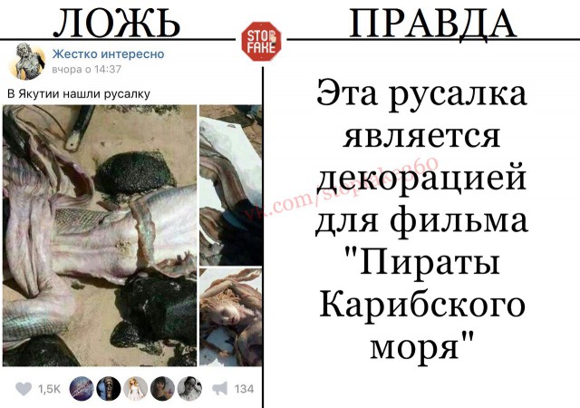 Стоп фейк: ложь и правда